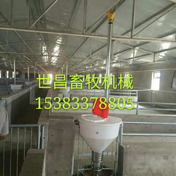 養豬設備廠供應自動下料桶 生產廠家、價格解析與羊場應用前景