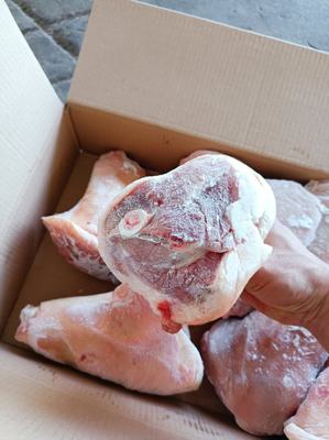 山東臨沂蘭山區豬副產品批發概覽 優質豬肘子，價格親民